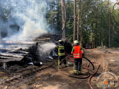 Foto des Albums: Einsatz 1631-B-Wald-Gransee Stadtwald Ri Meseberg