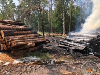 Foto des Albums: Einsatz 1631-B-Wald-Gransee Stadtwald Ri Meseberg