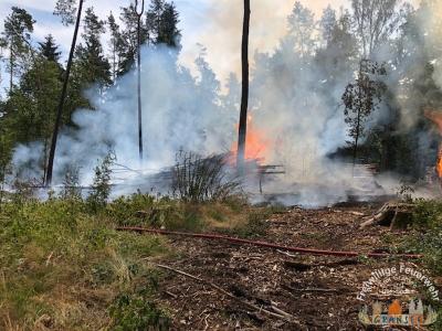 Foto des Albums: Einsatz 1631-B-Wald-Gransee Stadtwald Ri Meseberg