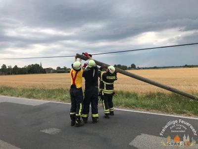 Foto des Albums: Einsatz 1713-H-Klein-Gransee Kraatzer Weg-Tefonmast