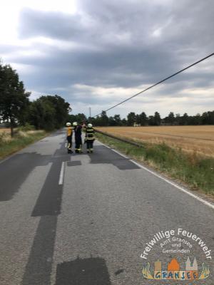 Foto des Albums: Einsatz 1713-H-Klein-Gransee Kraatzer Weg-Tefonmast