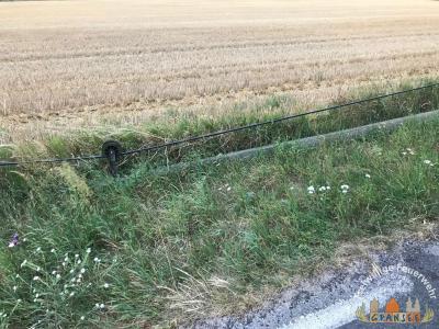 Foto des Albums: Einsatz 1713-H-Klein-Gransee Kraatzer Weg-Tefonmast