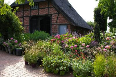 Foto des Albums: Gartenreise der Rosenfreunde 2018: Garten von Fenna Graf in Ascheberg (25.07.2018)