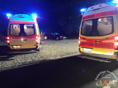 Foto des Albums: Einsatz 1719-H-VU mit P-Dannenwalde