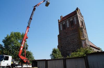 Foto des Albums: Neues Storchennetz auf dem Kirchturm der Lindenaer Kirche (31. 07. 2018)
