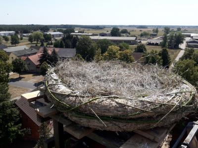 Foto des Albums: Neues Storchennetz auf dem Kirchturm der Lindenaer Kirche (31. 07. 2018)