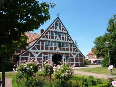 Foto des Albums: 2014 Altes Land