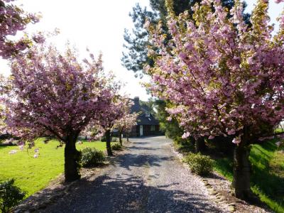 Foto des Albums: 2014 Altes Land
