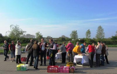 Foto des Albums: 2014 Altes Land