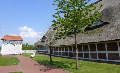 Foto des Albums: 2014 Altes Land