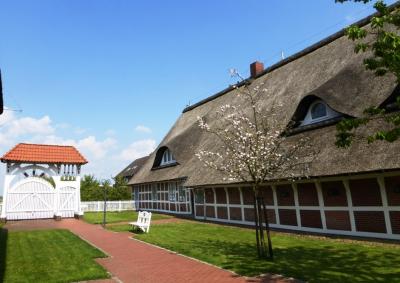 Foto des Albums: 2014 Altes Land