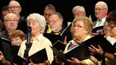 Foto des Albums: 2015 Jubiläumskonzert 300