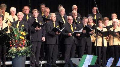 Foto des Albums: 2015 Jubiläumskonzert 300