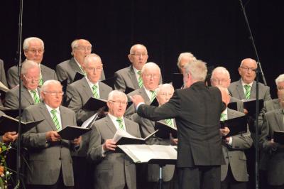 Foto des Albums: 2015 Jubiläumskonzert 300