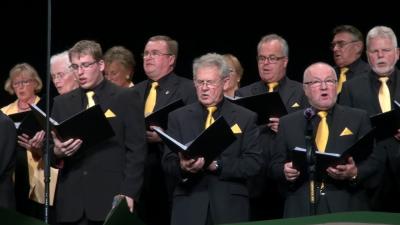 Foto des Albums: 2015 Jubiläumskonzert 300