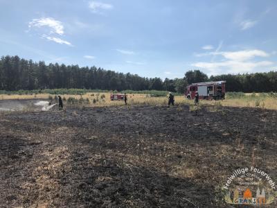Foto des Albums: Einsatz 1877-B-Fläche-Schönermark Baumgartner Weg