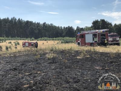 Foto des Albums: Einsatz 1877-B-Fläche-Schönermark Baumgartner Weg