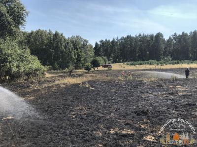 Foto des Albums: Einsatz 1877-B-Fläche-Schönermark Baumgartner Weg