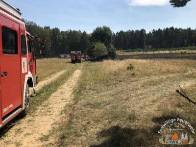 Foto des Albums: Einsatz 1877-B-Fläche-Schönermark Baumgartner Weg