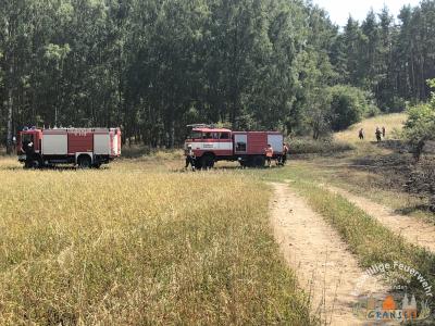 Foto des Albums: Einsatz 1877-B-Fläche-Schönermark Baumgartner Weg