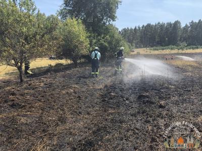 Foto des Albums: Einsatz 1877-B-Fläche-Schönermark Baumgartner Weg