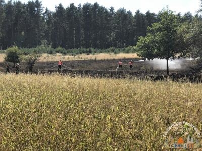 Foto des Albums: Einsatz 1877-B-Fläche-Schönermark Baumgartner Weg
