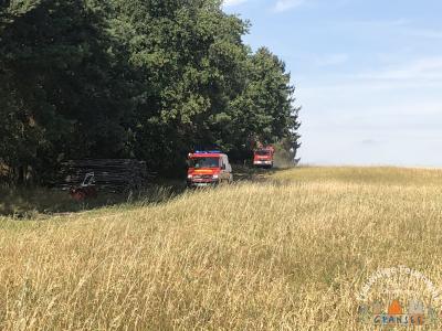 Foto des Albums: Einsatz 1877-B-Fläche-Schönermark Baumgartner Weg