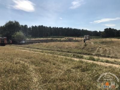 Foto des Albums: Einsatz 1877-B-Fläche-Schönermark Baumgartner Weg