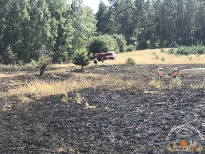 Foto des Albums: Einsatz 1877-B-Fläche-Schönermark Baumgartner Weg