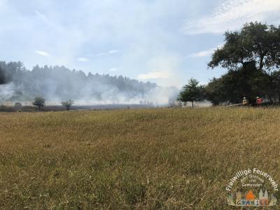 Foto des Albums: Einsatz 1877-B-Fläche-Schönermark Baumgartner Weg
