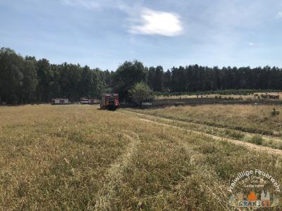 Foto des Albums: Einsatz 1877-B-Fläche-Schönermark Baumgartner Weg
