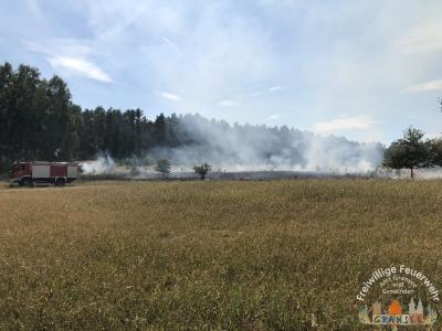 Foto des Albums: Einsatz 1877-B-Fläche-Schönermark Baumgartner Weg