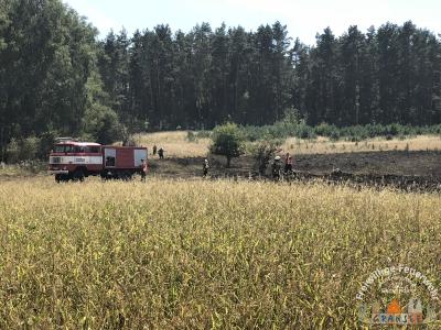 Foto des Albums: Einsatz 1877-B-Fläche-Schönermark Baumgartner Weg