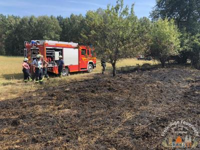 Foto des Albums: Einsatz 1877-B-Fläche-Schönermark Baumgartner Weg