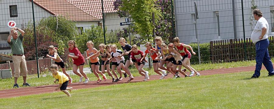 Bild: Start mit Hase