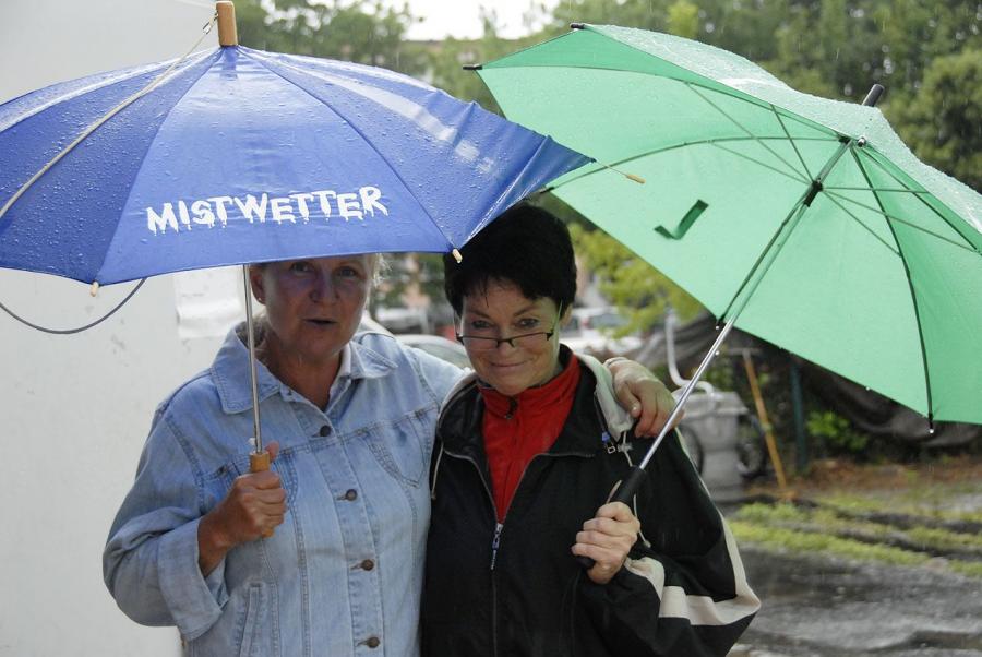 Bild: Mistwetter 1
