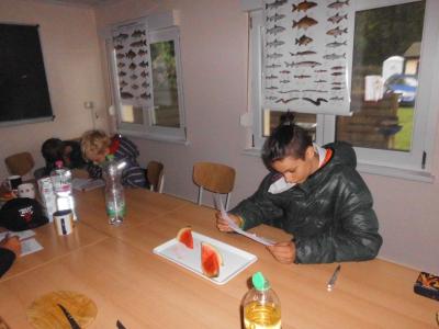 Foto des Albums: Trainingslager Kinder/Jugend am Lehnitzsee