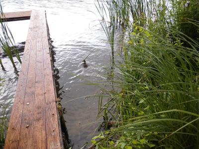 Foto des Albums: Trainingslager Kinder/Jugend am Lehnitzsee