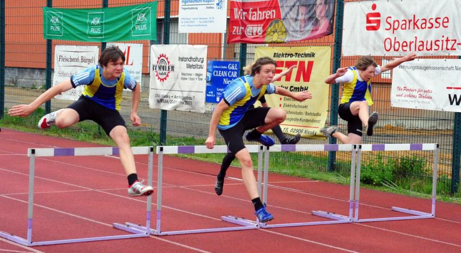 Bild: Ostritzer Zugpferde - die Scheffelzwillinge scheffelten beide Gold