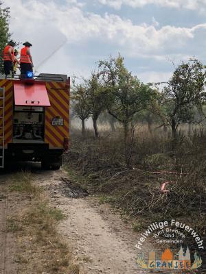 Foto des Albums: Einsatz 1916-B-Fläche-Meseberg Obstplantage