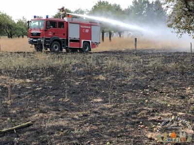 Foto des Albums: Einsatz 1916-B-Fläche-Meseberg Obstplantage