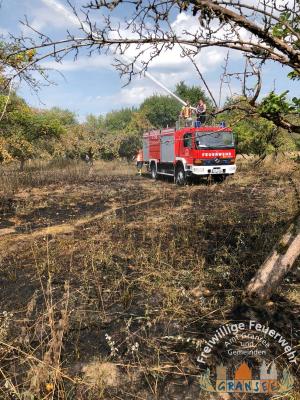 Foto des Albums: Einsatz 1916-B-Fläche-Meseberg Obstplantage