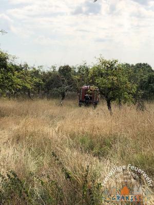 Foto des Albums: Einsatz 1916-B-Fläche-Meseberg Obstplantage