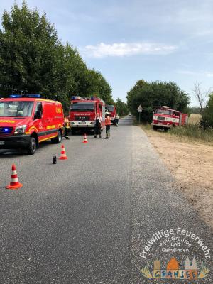 Foto des Albums: Einsatz 1916-B-Fläche-Meseberg Obstplantage