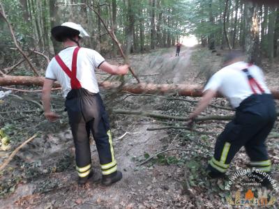 Foto des Albums: Einsatz 1918-H-Klein-Dannenwalde Waldweg Ringsleben
