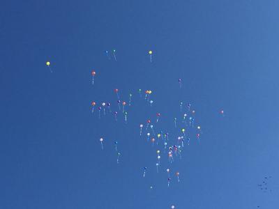 Foto des Albums: Einschulung Schuljahr 2018/19