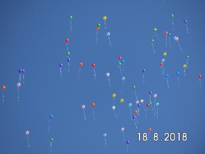 Foto des Albums: Einschulung Schuljahr 2018/19