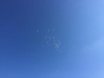 Foto des Albums: Einschulung Schuljahr 2018/19