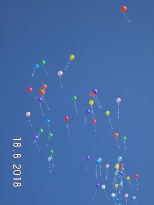 Foto des Albums: Einschulung Schuljahr 2018/19