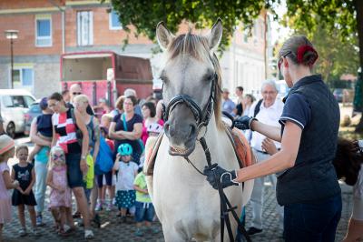 Aufsteigen und gl&uuml;cklich sein - Ponyreiten mit Dr. Claudia Herrmann  (Bild vergr&ouml;&szlig;ern)